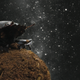 Illustration for article titled Dung Beetles Use the Milky Way for Navigation